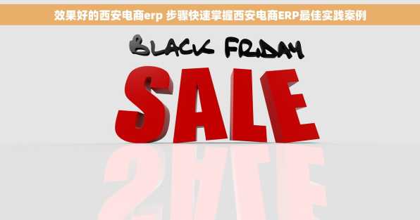 效果好的西安电商erp 步骤快速掌握西安电商ERP最佳实践案例
