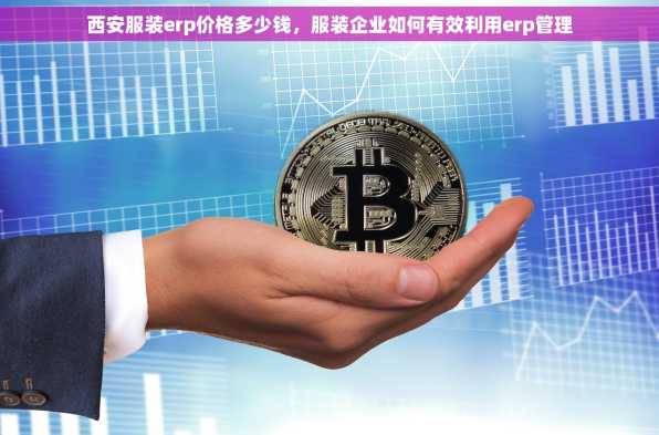 西安服装erp价格多少钱，服装企业如何有效利用erp管理