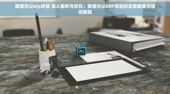 陕西办公erp项目 深入解析与优化：陕西办公ERP项目的实施策略与培训教程