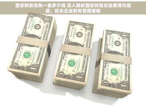 西安财务总账一套多少钱 深入解析西安财务总账费用与套餐，优化企业财务管理策略