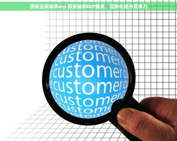 西安正规轴承erp 西安轴承ERP服务，定制化提升竞争力