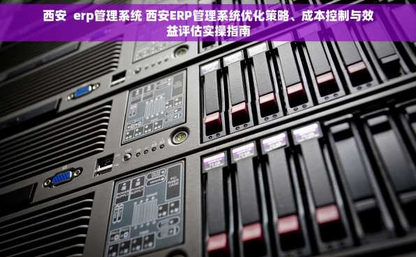 西安  erp管理系统 西安ERP管理系统优化策略、成本控制与效益评估实操指南