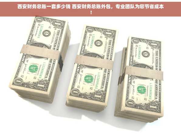 西安财务总账一套多少钱 西安财务总账外包，专业团队为您节省成本！
