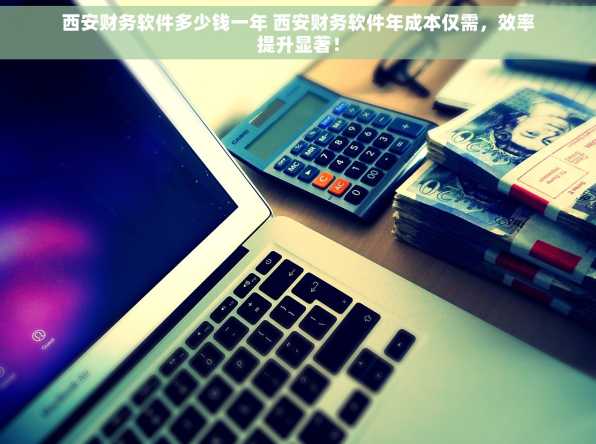 西安财务软件多少钱一年 西安财务软件年成本仅需，效率提升显著！
