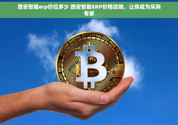 西安智能erp价位多少 西安智能ERP价格攻略，让你成为采购专家