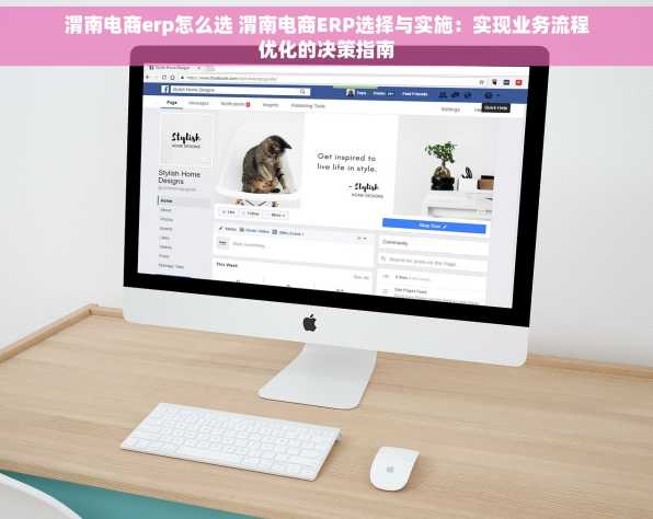渭南电商erp怎么选 渭南电商ERP选择与实施：实现业务流程优化的决策指南