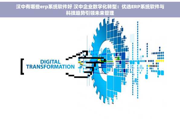 汉中有哪些erp系统软件好 汉中企业数字化转型：优选ERP系统软件与科技趋势引领未来管理