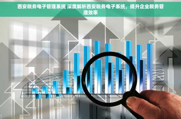 西安税务电子管理系统 深度解析西安税务电子系统，提升企业税务管理效率