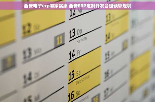西安电子erp哪家实惠 西安ERP定制开发合理预算规划