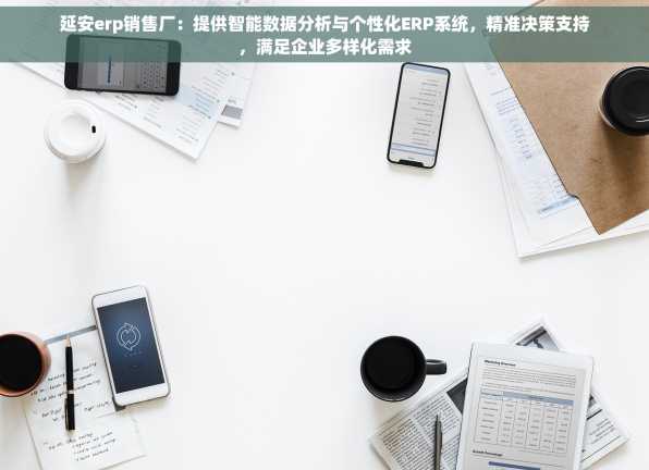 延安erp销售厂：提供智能数据分析与个性化ERP系统，精准决策支持，满足企业多样化需求