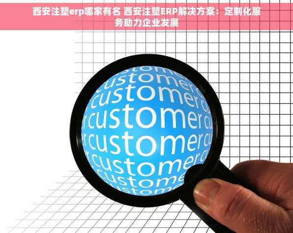 西安注塑erp哪家有名 西安注塑ERP解决方案：定制化服务助力企业发展