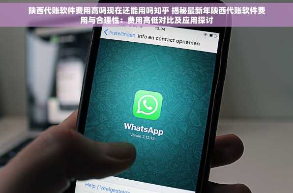 陕西代账软件费用高吗现在还能用吗知乎 揭秘最新年陕西代账软件费用与合理性：费用高低对比及应用探讨