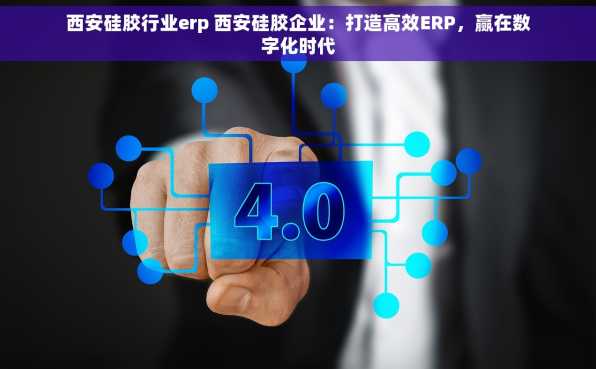 西安硅胶行业erp 西安硅胶企业：打造高效ERP，赢在数字化时代
