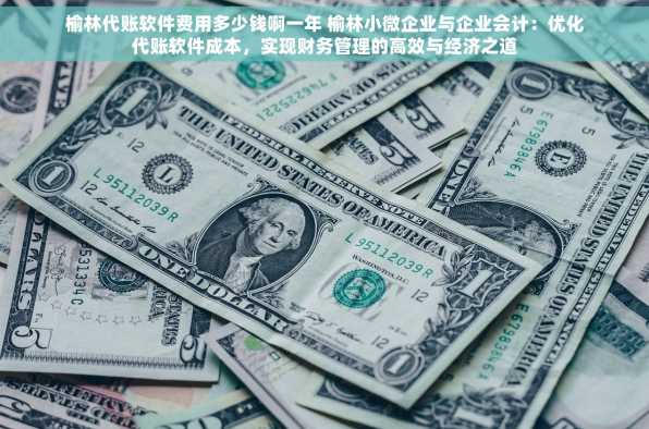 榆林代账软件费用多少钱啊一年 榆林小微企业与企业会计：优化代账软件成本，实现财务管理的高效与经济之道