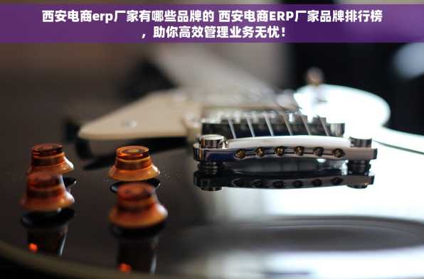 西安电商erp厂家有哪些品牌的 西安电商ERP厂家品牌排行榜，助你高效管理业务无忧！