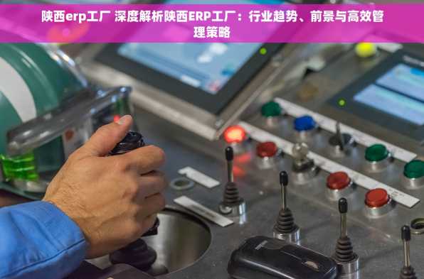 陕西erp工厂 深度解析陕西ERP工厂：行业趋势、前景与高效管理策略