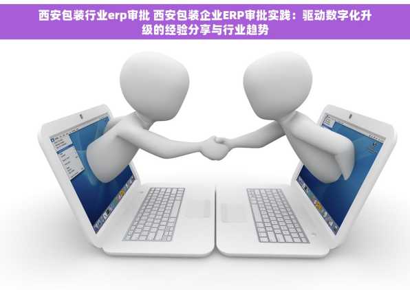 西安包装行业erp审批 西安包装企业ERP审批实践：驱动数字化升级的经验分享与行业趋势