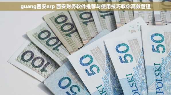 guang西安erp 西安财务软件推荐与使用技巧教你高效管理