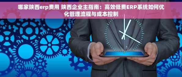 哪家陕西erp费用 陕西企业主指南：高效低费ERP系统如何优化管理流程与成本控制