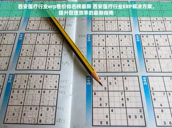 西安医疗行业erp售价排名榜最新 西安医疗行业ERP解决方案，提升管理效率的最新指南