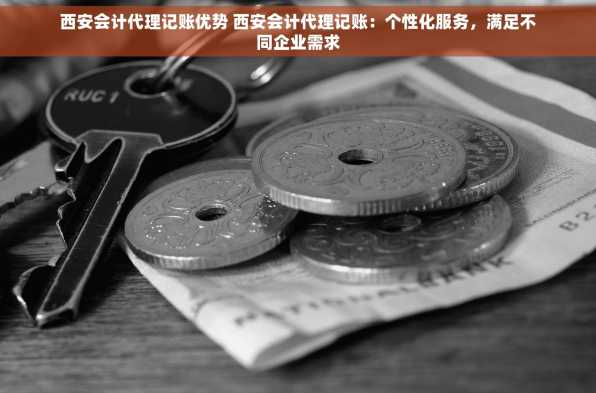 西安会计代理记账优势 西安会计代理记账：个性化服务，满足不同企业需求