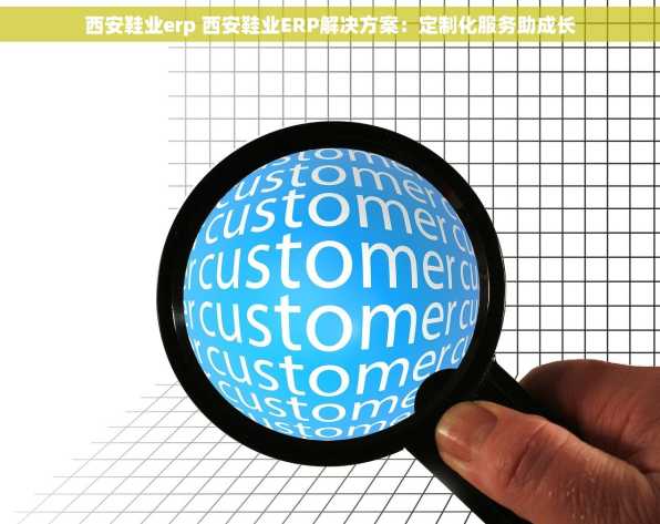 西安鞋业erp 西安鞋业ERP解决方案：定制化服务助成长