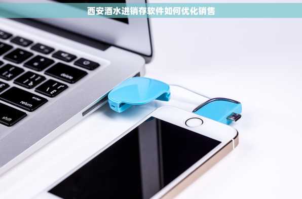 西安酒水进销存软件如何优化销售