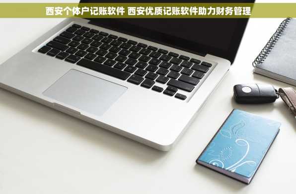 西安个体户记账软件 西安优质记账软件助力财务管理