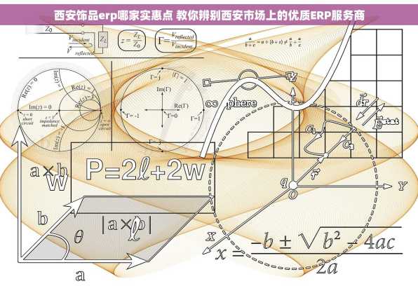 西安饰品erp哪家实惠点 教你辨别西安市场上的优质ERP服务商