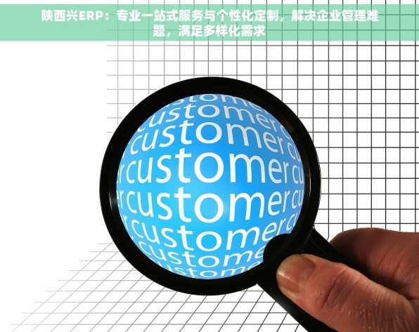 陕西兴ERP：专业一站式服务与个性化定制，解决企业管理难题，满足多样化需求