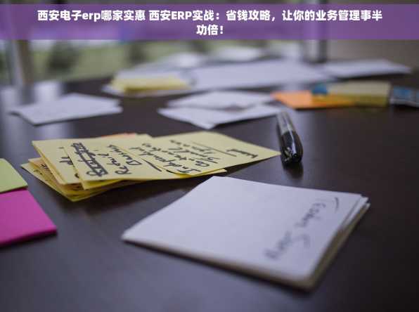 西安电子erp哪家实惠 西安ERP实战：省钱攻略，让你的业务管理事半功倍！