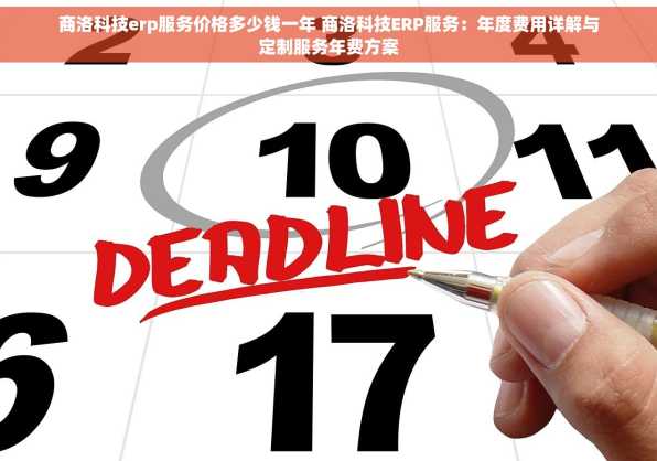 商洛科技erp服务价格多少钱一年 商洛科技ERP服务：年度费用详解与定制服务年费方案