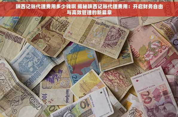 陕西记账代理费用多少钱啊 揭秘陕西记账代理费用：开启财务自由与高效管理的新篇章