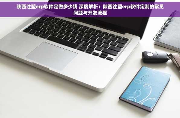陕西注塑erp软件定做多少钱 深度解析：陕西注塑erp软件定制的常见问题与开发流程