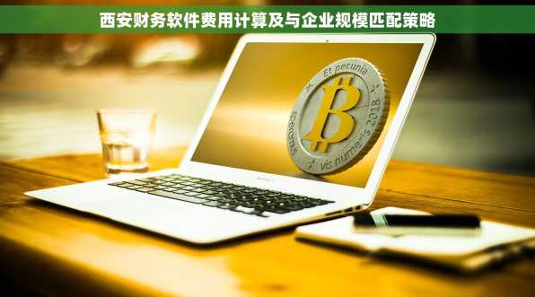 西安财务软件费用计算及与企业规模匹配策略
