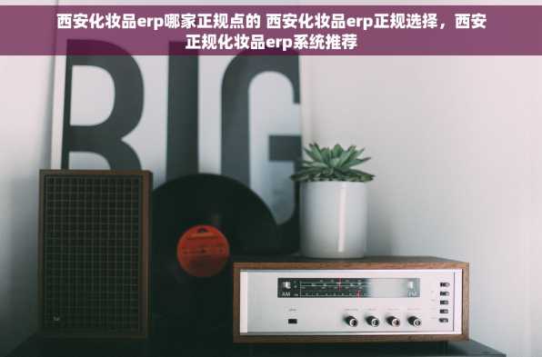 西安化妆品erp哪家正规点的 西安化妆品erp正规选择，西安正规化妆品erp系统推荐