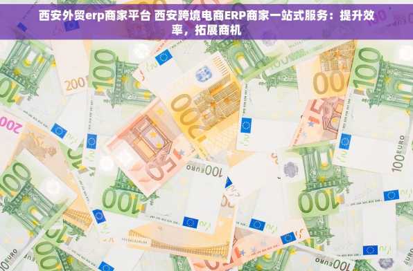 西安外贸erp商家平台 西安跨境电商ERP商家一站式服务：提升效率，拓展商机