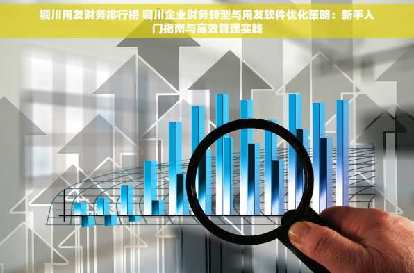 铜川用友财务排行榜 铜川企业财务转型与用友软件优化策略：新手入门指南与高效管理实践