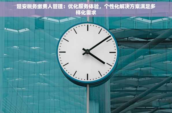 延安税务缴费人管理：优化服务体验，个性化解决方案满足多样化需求