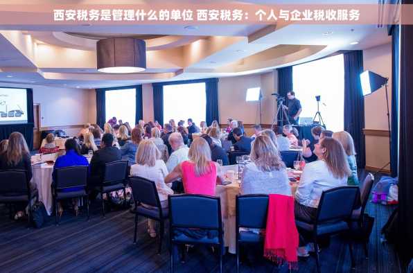 西安税务是管理什么的单位 西安税务：个人与企业税收服务