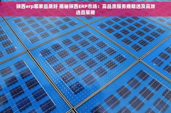 陕西erp哪家品质好 揭秘陕西ERP市场：高品质服务商精选及高效选品策略
