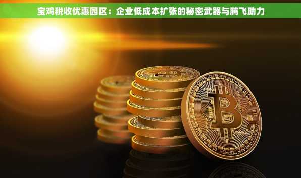 宝鸡税收优惠园区：企业低成本扩张的秘密武器与腾飞助力