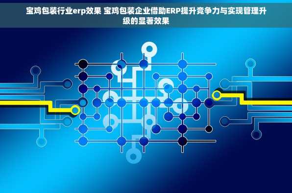 宝鸡包装行业erp效果 宝鸡包装企业借助ERP提升竞争力与实现管理升级的显著效果