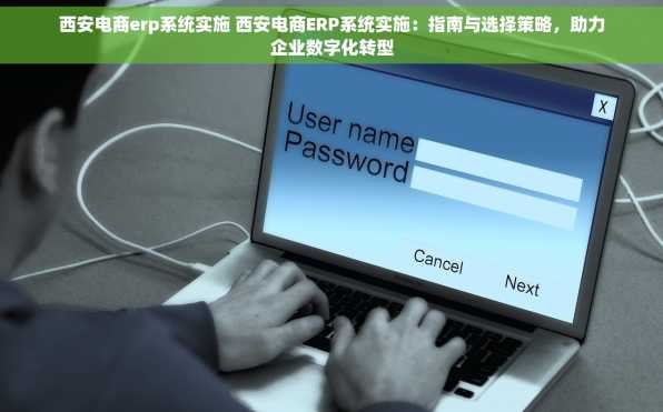 西安电商erp系统实施 西安电商ERP系统实施：指南与选择策略，助力企业数字化转型