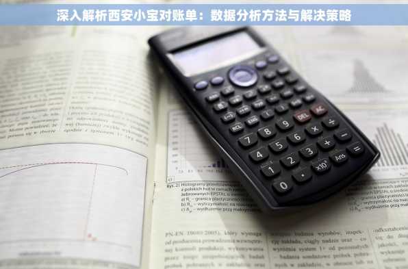 深入解析西安小宝对账单：数据分析方法与解决策略