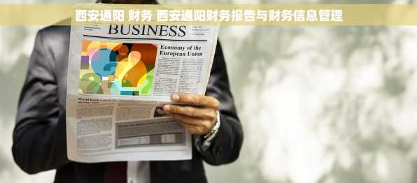 西安通阳 财务 西安通阳财务报告与财务信息管理