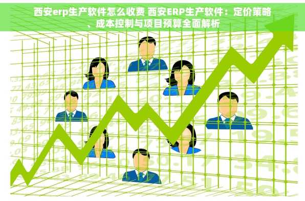西安erp生产软件怎么收费 西安ERP生产软件：定价策略、成本控制与项目预算全面解析