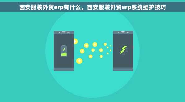 西安服装外贸erp有什么，西安服装外贸erp系统维护技巧