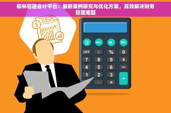 榆林管理会计平台：最新案例研究与优化方案，高效解决财务管理难题