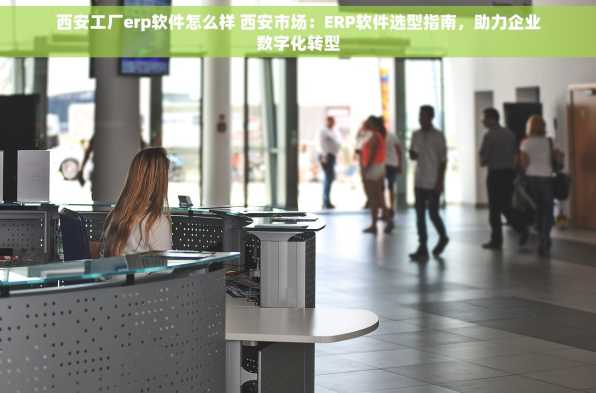 西安工厂erp软件怎么样 西安市场：ERP软件选型指南，助力企业数字化转型